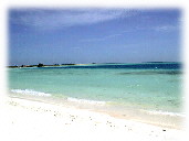 los roques