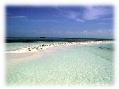 los roques